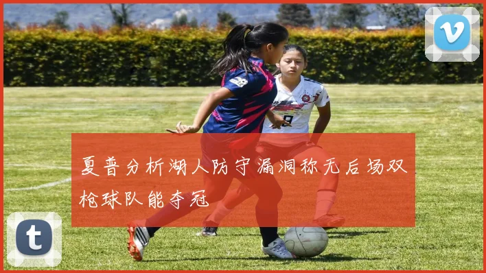 夏普分析湖人防守漏洞称无后场双枪球队能夺冠